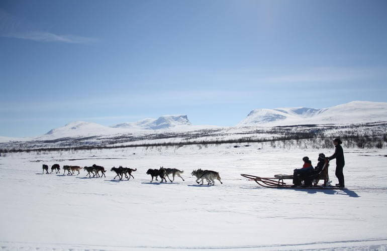 Abenteuer-Hundeschlittenfahrt am Polarkreis 3