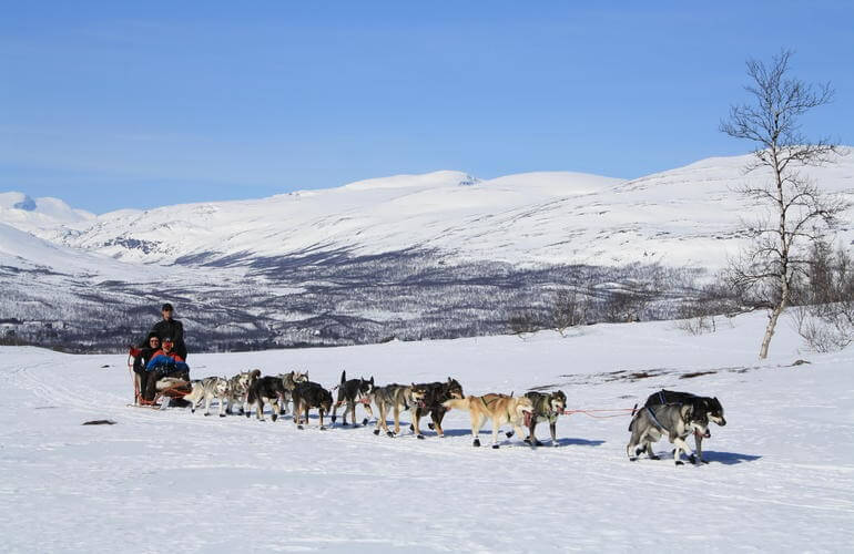 Abenteuer-Hundeschlittenfahrt am Polarkreis 5