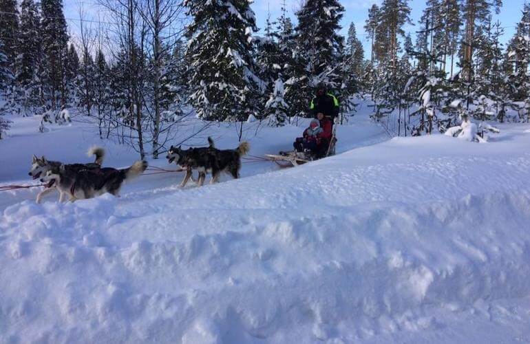 Fika Adventure Hundeschlitten in Schwedisch-Lappland 4