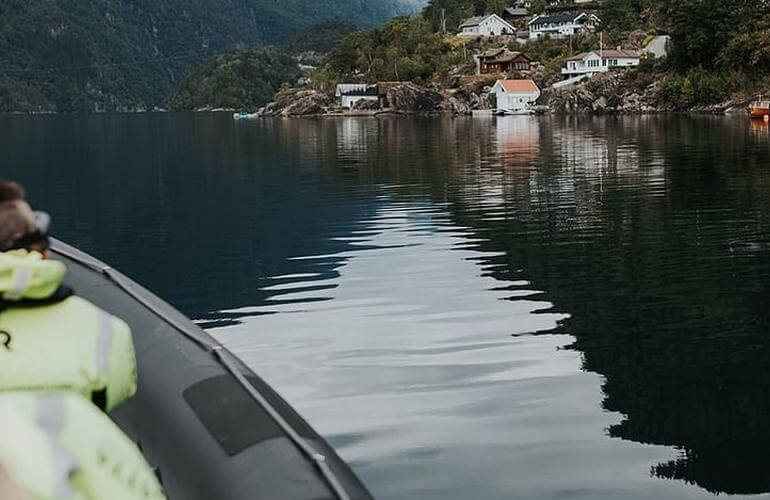 Hardangerfjord-Safari mit dem RIB-Boot ab Ã˜ystese 5