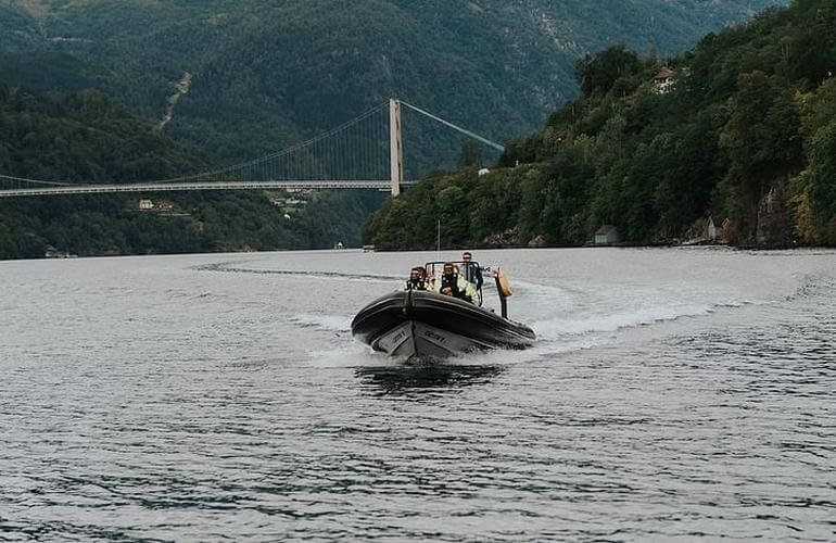 Hardangerfjord-Safari mit dem RIB-Boot ab Ã˜ystese 7