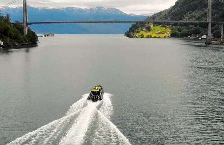 Hardangerfjord-Safari mit dem RIB-Boot ab Øystese 8