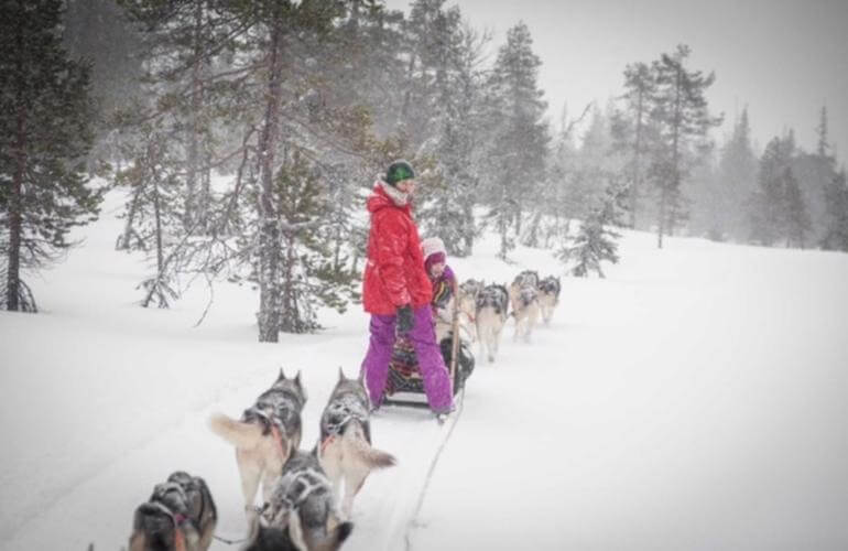Hundeschlittenfahrten bei Rovaniemi 3