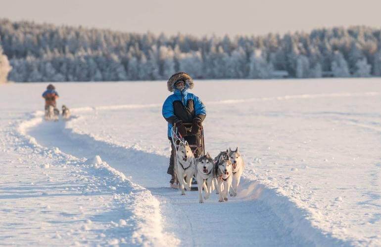 Hundeschlittenfahrten bei Rovaniemi 7