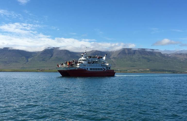 Klassische Walbeobachtung, Akureyri 5